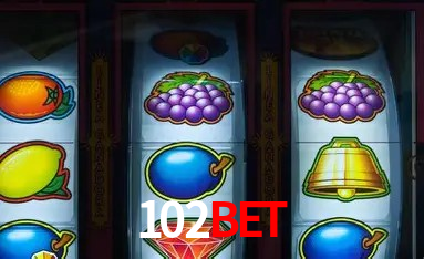 Segurança 2FA 102bet